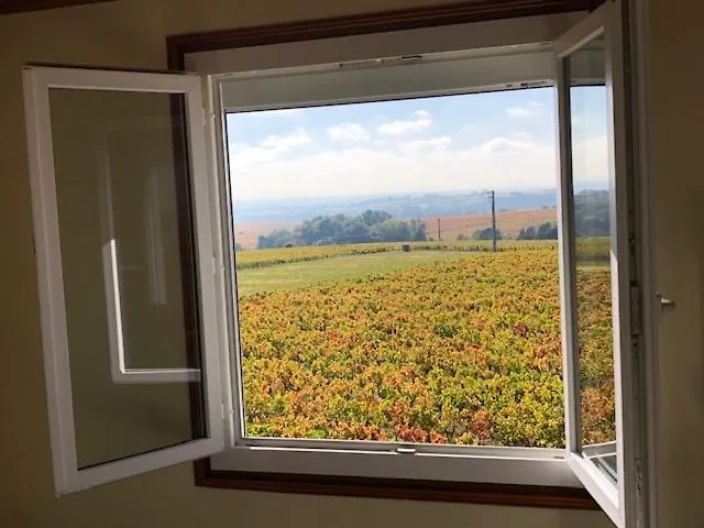 Le Petit Gite De Javernieres Etage Villié-Morgon Appartement